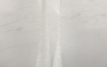 かつらむき 極薄
ツマ